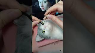 New Work Needle Felted Cat Projects Girl with a Pearl Earring  Needle Felting ASMR [upl. by Tiossem]