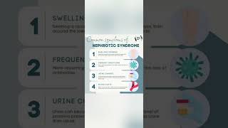 NEPHROTIC SYNDROME [upl. by Led]