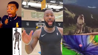 Lebron James scream if you love screaming [upl. by Wymore798]