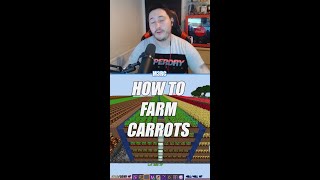 How to Farm Carrots on Hypixel Skyblock [upl. by Suivatna]