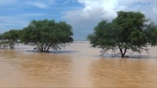 Tempête en Somalie les autorités du Puntland craignent 300 morts [upl. by Asyram]