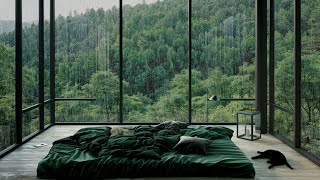 Cozy Mountain Cabin with Rain Sound  Cats Sleeping on the Bed amp Floor in a Peaceful Forest Retreat [upl. by Kirsten]