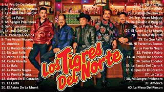 1 Hora De Puros Corridos De Los Tigres Del Norte Mix [upl. by Lanny837]