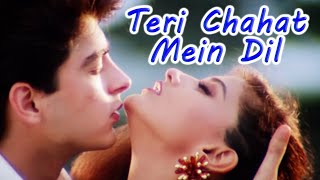 Teri Chahat Mein Dil  The Don 1995  Sonali Bendre Jugal Hansraj  Kumar Sanu Hits [upl. by Ziul]