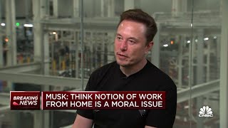 Tesla CEO Elon Musk The laptop class is living in lala land over workfromhome [upl. by Reginauld]