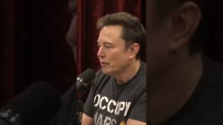 Joe Rogan and Elon Musk Talk About Pnut The Squirrel jreclips comedian 2024election podcast [upl. by Esinaj]