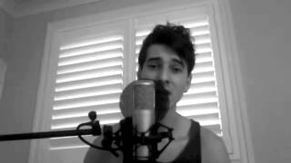 Demi Lovato  Heart Attack Craig Yopp Cover [upl. by Ahsemit]