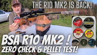 BSA R10 MKII in 22 Accuracy Check and Pellet Testing  JSB  HampN  AA  Daystate  etc [upl. by Ogdan44]