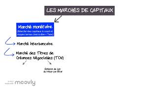 LES MARCHÉS DE CAPITAUX [upl. by Allerie]