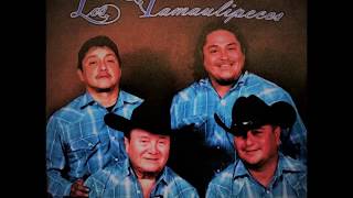 Los Tamaulipecos Hnos Sanchez  Tu Retrato [upl. by Marcy464]