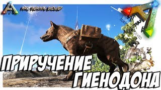 ARK Survival Evolved  ПРИРУЧЕНИЕ ГИЕНОДОНА TAMING HYAENODON [upl. by Ahsenak85]