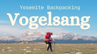 Yosemite Backpacking 3 Days  Rafferty Creek Vogelsang Lyell Canyon Loop [upl. by Yramanna3]