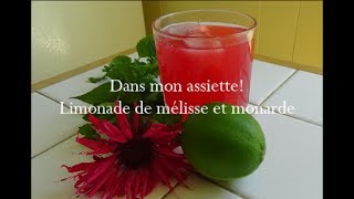 Limonade dété Mélisse amp Monarde  DANS MON ASSIETTE [upl. by Latnahc]