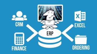 What is ERP software [upl. by Einahpets]