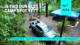 Bellingen Never Never Creek  Tuckers Nob Forest NSW  Free Camping  HGT Explored [upl. by Rahsab]