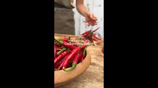 Garden to Table Chili Pepper Garland [upl. by Porche]