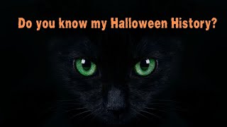 The Spooky Connection Between Cats and Halloween [upl. by Wehrle429]