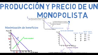 Monopolio  Cap 20  Microeconomía [upl. by Aerdua]