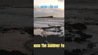 Haevn  The Sea watch the full video here on YouTube oahu oahuhawaii haevn lyrics lyricvideo [upl. by Vorster]