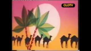 SANDY MARTON  CAMEL BY CAMEL Official Video [upl. by Ward]