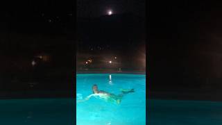 Merman Ariel full moon swim 🧜‍♂️🌕✨ merman mermaid fullmoon [upl. by Tom154]