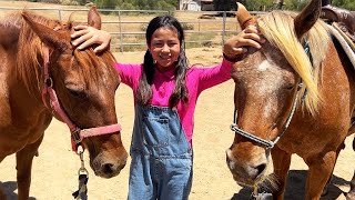 Jannies Galloping Fun Learning to Love Horses on the Farm [upl. by Ranna]