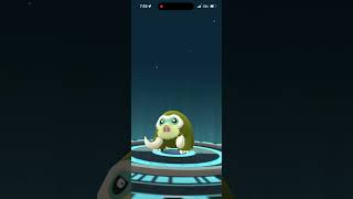 Evolving Shiny Piloswine Into Shiny Mamoswine In Pokémon Go [upl. by Hsivat399]