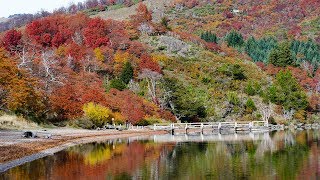 Otoño en Neuquén  Patagonia Argentina [upl. by Eille]