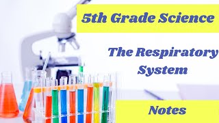 The Respiratory System  free 5th grade science online lesson [upl. by Aklog]