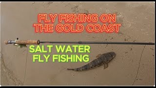 Fly Fishing on the Gold Coast Flathead on the Fly [upl. by Eleets853]