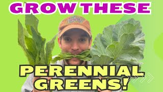 Grow a Great Edible Garden Crazy Easy Choices for Beginners [upl. by Betz]