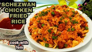 Schezwan Chicken Fried Rice Recipe In Hindi  With Homemade Schezwan Sauce  Cook With Fem [upl. by Allenad]