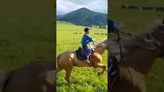 Meet the Worlds Youngest Horseback Experts [upl. by Assenahs913]