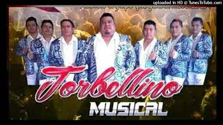 TORBELLINO MUSICAL CABRON Y VAGO [upl. by Digirb]