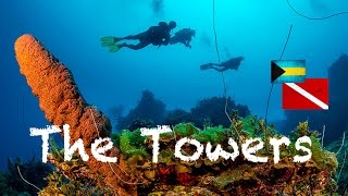 Scuba Diving quotThe Towersquot The Abacos Bahamas  GoPro  WeBeYachtingcom [upl. by Thapa]