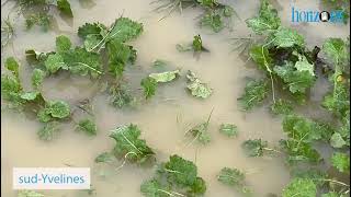 Inondations en CentreVal de Loire et ÎledeFrance MAJ [upl. by Eelorac]