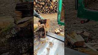 Log Splitter Double logsplitter machine woodwooding wood [upl. by Yee]