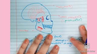 Servosystem theory of growth Orthodontics [upl. by Drofnil]