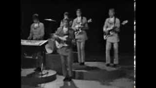 FLAMINGOKVINTETTEN  HON ÄR SEXTON ÅR IDAG  MUSIKVIDEO 1968 [upl. by Nawj]