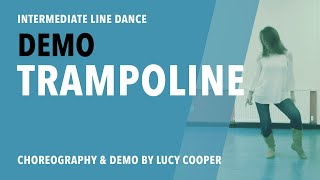 Trampoline Intermediate Linedance Demo [upl. by Nadab]