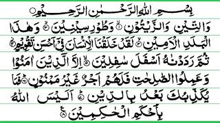 SURAH AT TIN  THE FIG  WITH URDU TRANSLATION  HOLY QURAN RECITATION  WATINI WA ZAITUN [upl. by Gney]