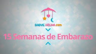 Bebé  15 Semanas de Embarazo  Signos y síntomas del embarazo [upl. by Ykcub397]