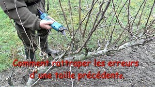 Comment rattraper les erreurs de taille dun pommier [upl. by Chelsy368]