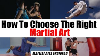 How To Choose The Right Martial Art For You [upl. by Naes]