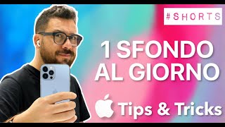 COME AVERE UNO SFONDO PER IPHONE DIVERSO OGNI GIORNO [upl. by Nosrettap871]