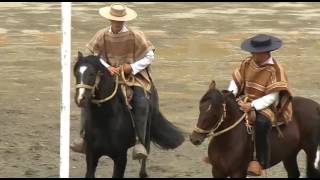 SERIE CAMPEONES RODEO CRIOLLO VALDIVIA TEMPORADA 2015 2016 [upl. by Nelleoj]