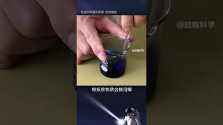 用硫酸铜和绵纸制作铜氨纤维，非常有趣且神奇的化学实验！科普 [upl. by Greg]