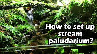 How build Paludarium stream Aquaterrarium  Cách làm bể bán cạn với dòng suối [upl. by Barren529]