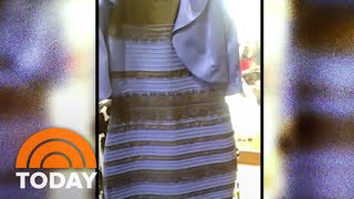 The Dress Debate SETTLED Black And Blue  Or White And Gold  TODAY [upl. by Aciretnahs]