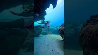 🩷🖤🩷🖤🩷 underwater freediver freediving [upl. by Lidda]